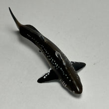 Load image into Gallery viewer, Cladoselache - Trading Figure - Miniature (006) - Cuchiwaii