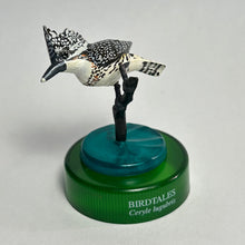 Load image into Gallery viewer, Crested kingfisher (Megaceryle lugubris) - Mini Figure - Bottle Cap - Cuchiwaii