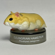Load image into Gallery viewer, Dzungrian Hamster - Trading Figure - Miniature - No.16 - Cuchiwaii