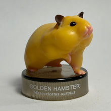 Load image into Gallery viewer, Golden Hamster - Figure - Bottle Cap - Apricot (02) - Cuchiwaii