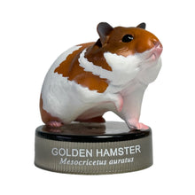 Load image into Gallery viewer, Golden Hamster - Trading Figure - Miniature - No.1 - Cuchiwaii