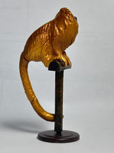 Load image into Gallery viewer, Golden Lion Tamarin - Trading Figure - Miniature - 23 - Cuchiwaii