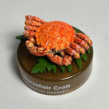 Cargar imagen en el visor de la galería, Horsehair crab / Erimacrus isenbekii - Trading Figure - Miniature - Cuchiwaii