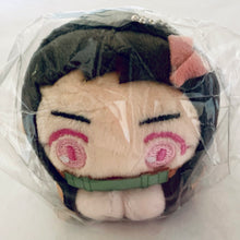 Load image into Gallery viewer, Kimetsu no Yaiba - Kamado Nezuko - Hug Chara Collection 3 - Plush Mascot