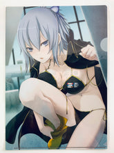 Cargar imagen en el visor de la galería, Devil Survivor 2: Break Record - Miyako Houtsuin - A4 Clear File - 3DS Soft - Geo Purchase Bonus