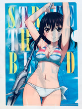 Load image into Gallery viewer, Strike the Blood - Himeragi Yukina - B5 Clear File - Monthly Comic Dengeki Daioh November 2015