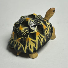 Load image into Gallery viewer, Indian Star Tortoise - Trading Figure - Miniature (08) - Cuchiwaii