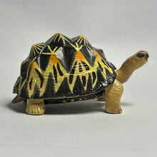 Load image into Gallery viewer, Indian Star Tortoise - Trading Figure - Miniature (08) - Cuchiwaii