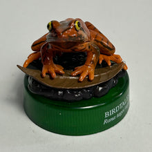 Cargar imagen en el visor de la galería, Japanese Brown Frog (Rana tagoi tagoi) - Mini Figure - Bottle Cap - Cuchiwaii