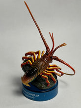 Load image into Gallery viewer, Japanese Spiny Lobster - Figure - Bottle Cap - Cuchiwaii