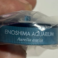 Load image into Gallery viewer, Moon Jellyfish / Aurelia aurita - Trading Figure - Miniature - Cuchiwaii