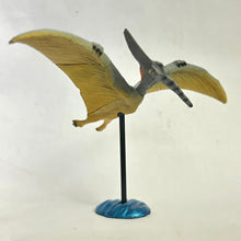 Load image into Gallery viewer, Pteranodon - Trading Figure - Miniature (11) - Cuchiwaii