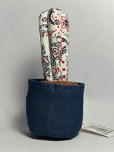 Load image into Gallery viewer, R4T Cactus Doll - S Size - Cuchiwaii