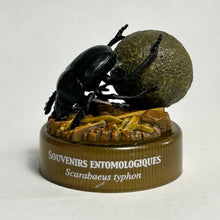 Load image into Gallery viewer, Sacred Scarab (Scarabaeus typhon) - Mini Figure - Bottle Cap - Cuchiwaii