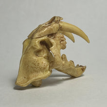 Load image into Gallery viewer, Smilodon (skull) - Trading Figure - Miniature (048) - Cuchiwaii