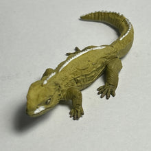 Load image into Gallery viewer, Tuatara / Sphenodon punctatus - Trading Figure - Miniature - Secret (SP01) - Cuchiwaii
