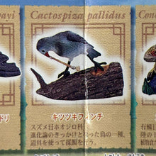 Load image into Gallery viewer, Woodpecker Finch - Trading Figure - Minifigure - Cuchiwaii