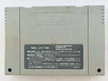 Load image into Gallery viewer, Hiryuu No Ken S: Golden Fighter - Super Famicom - SFC - Nintendo - Japan Ver. - NTSC-JP - Cart & Manual (SHVC-HK)