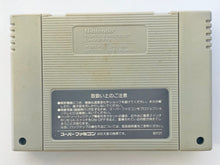 Load image into Gallery viewer, F-Zero - Super Famicom - SFC - Nintendo - Japan Ver. - NTSC-JP - Cart (SHVC-FZ)