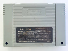 Cargar imagen en el visor de la galería, Tenchi Souzou / Terranigma - Super Famicom - SFC - Nintendo - Japan Ver. - NTSC-JP - Cart (SHVC-AQTJ-JPN)
