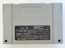Cargar imagen en el visor de la galería, Super Donkey Kong 2: Dixie & Diddy - Super Famicom - SFC - Nintendo - Japan Ver. - NTSC-JP - Cart (SHVC-ADNJ-JPN)