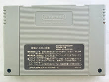 Load image into Gallery viewer, Elfaria II - Super Famicom - SFC - Nintendo - Japan Ver. - NTSC-JP - Cart (SHVC-AEFJ-JPN)