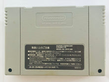 Load image into Gallery viewer, Dragon Slayer: Eiyuu Densetsu II - Super Famicom - SFC - Nintendo - Japan Ver. - NTSC-JP - Cart (SHVC-A2)
