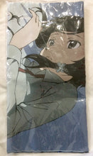 Cargar imagen en el visor de la galería, Sword Art Online II - Shino Asada & Chinon - Tapestry - Blu-ray/DVD SAOII Animate Volumes 1-5 Linked Purchase Privilege