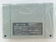 Load image into Gallery viewer, Light Fantasy - Super Famicom - SFC - Nintendo - Japan Ver. - NTSC-JP - Cart & Manual (SHVC-FL)