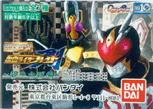 Cargar imagen en el visor de la galería, HG Series Kamen Rider 28 ~Ao No Kechimyaku Hen~ - Set of 7