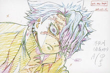 Load image into Gallery viewer, Kimetsu no Yaiba - Shinazugawa Sanemi - Miya Fushikawa Exhibition Original Picture Postcard - Character Emaki Cafe in ufotable cafe (Set of 10)