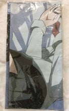 Cargar imagen en el visor de la galería, Sword Art Online II - Shino Asada & Chinon - Tapestry - Blu-ray/DVD SAOII Animate Volumes 1-5 Linked Purchase Privilege