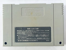 Load image into Gallery viewer, Dragon Slayer: Eiyuu Densetsu - Super Famicom - SFC - Nintendo - Japan Ver. - NTSC-JP - Cart (SHVC-DS)