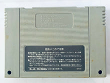 Load image into Gallery viewer, ActRaiser - Super Famicom - SFC - Nintendo - Japan Ver. - NTSC-JP - Cart (SHVC-AR)