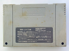 Load image into Gallery viewer, Dragon’s Earth - Super Famicom - SFC - Nintendo - Japan Ver. - NTSC-JP - Cart (SHVC-DG)
