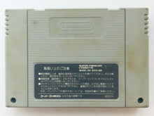 Load image into Gallery viewer, Volleyball Twin - Super Famicom - SFC - Nintendo - Japan Ver. - NTSC-JP - Cart & Manual (SHVC-VT)