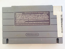 Load image into Gallery viewer, Magic Johnson’s Super Slam Dunk - Super Nintendo - SNES - NTSC-US - Cart (SNS-D9-USA)