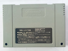 Load image into Gallery viewer, Mahou Kishi Rayearth - Super Famicom - SFC - Nintendo - Japan Ver. - NTSC-JP - Cart (SHVC-AURJ-JPN)