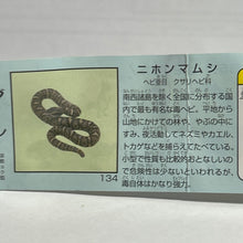 Load image into Gallery viewer, Japanese Mamushi (Pit viper) - Trading Figure - Miniature (134)
