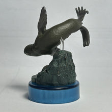 Cargar imagen en el visor de la galería, Northern fur seal / Callorhinus ursinus - Trading Figure - Miniature
