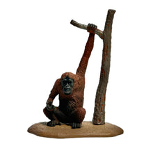 Load image into Gallery viewer, Wildlife of the World: Asia &amp; Oceania Edition (Set of 9)
