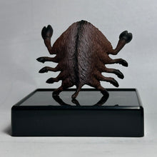 Load image into Gallery viewer, 07. Inoshishigani (Wild Boar Crab) - Trading Figure - HMCA-007 - Cuchiwaii
