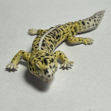 Load image into Gallery viewer, Leopard Gecko - Trading Figure - Miniature - 064 P05-B
