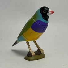 Load image into Gallery viewer, Gouldian Finch - Trading Figure - Miniature - 043 P22-B
