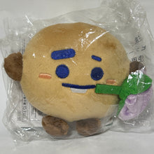 Load image into Gallery viewer, BT21 - SHOOKY - Plush Toy - BTS
