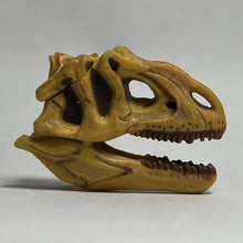 Cargar imagen en el visor de la galería, Allosaurus - Trading Figure - Miniature (047)
