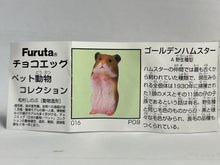 Cargar imagen en el visor de la galería, Golden Hamster - Trading Figure - Miniature - 016 P09
