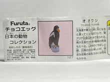 Cargar imagen en el visor de la galería, Steller's sea eagle - Trading Figure - Miniature - 127
