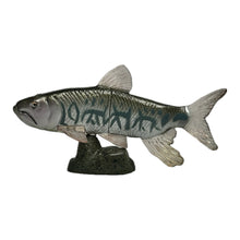 Cargar imagen en el visor de la galería, Opsariichthys uncirostris - Trading Figure - Miniature (157)
