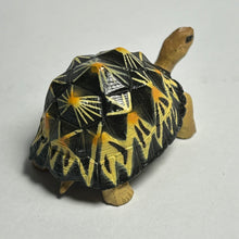 Cargar imagen en el visor de la galería, Indian Star Tortoise - Trading Figure - Miniature (08)
